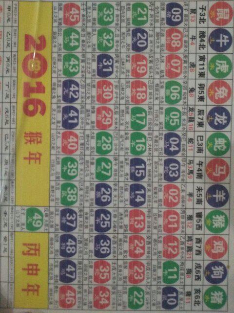 2025十二生肖49码表|精选解释解析落实