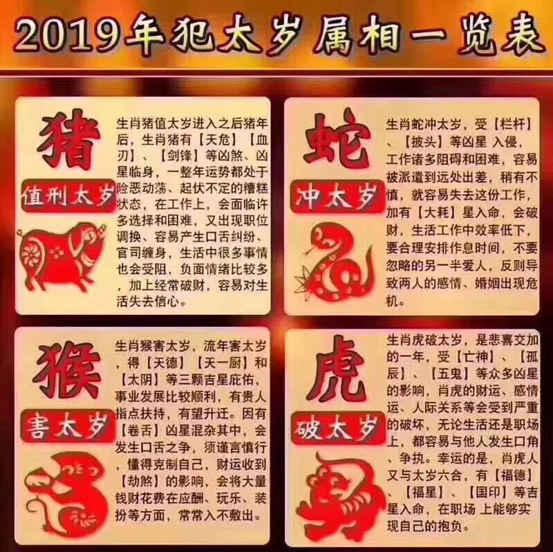 动态 第433页