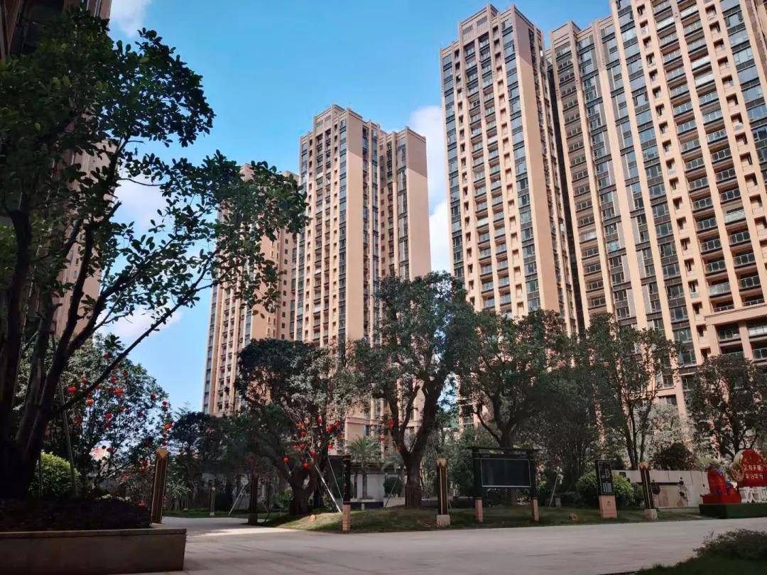管家婆最准内部资料大全,管家婆最准内部资料大全，深度解析与实际应用指南