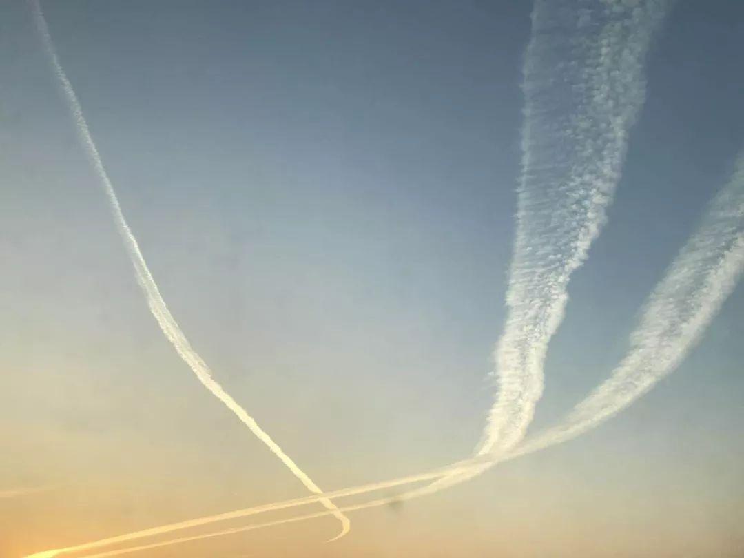 天下天空彩免费资料大全百度,探索天下天空彩，免费资料的深度解析与百度检索指南