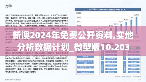 2025新澳最精准免费资料,探索未来之门，2025新澳最精准免费资料之旅