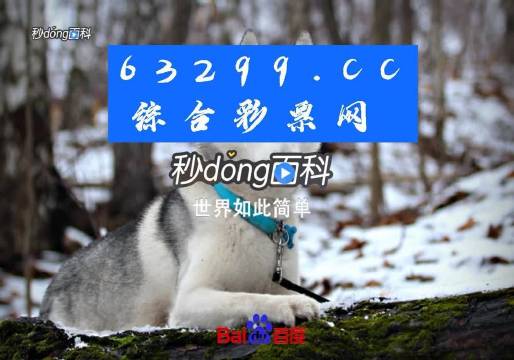 动态 第216页