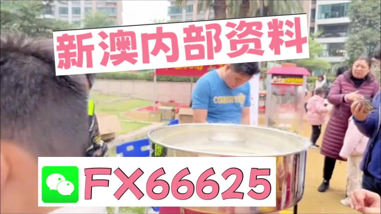 2025新奥正版资料大全,2025新奥正版资料大全详解
