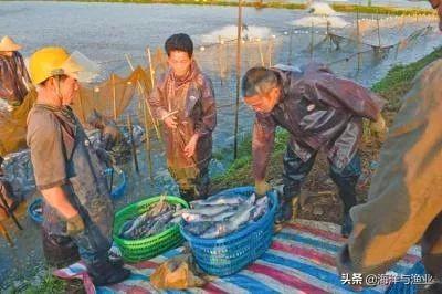 新澳门最精准正最精准,新澳门最精准——探索精准之道