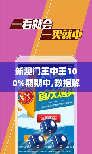 新澳门王中王王中王免费,新澳门王中王王中王免费——探索与体验