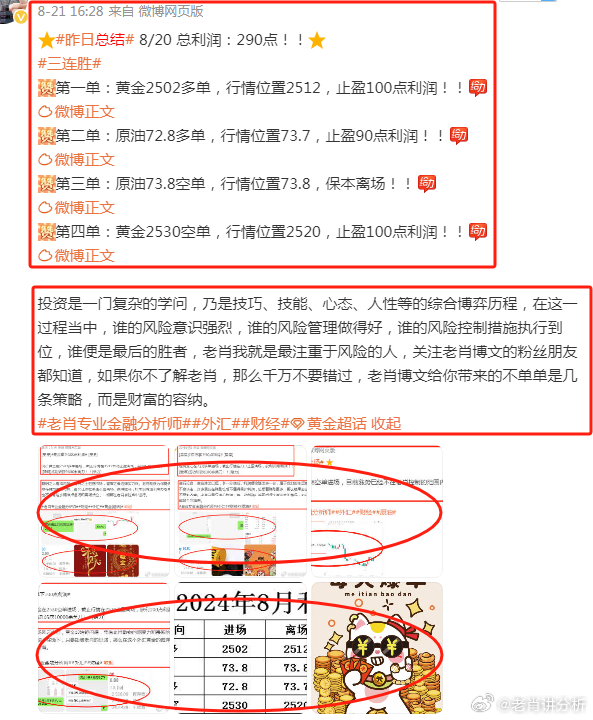 管家婆2025澳门正版资料,探索管家婆2025澳门正版资料，历史、发展与未来展望